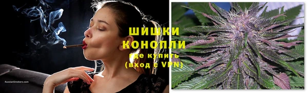 трава Богданович