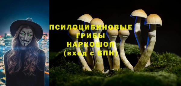 трава Богданович
