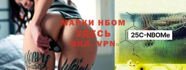 хмурый Богородицк