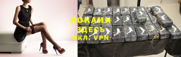 хмурый Богородицк
