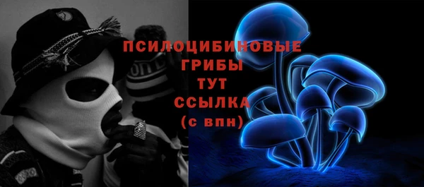 трава Богданович