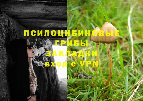 2c-b Богородск