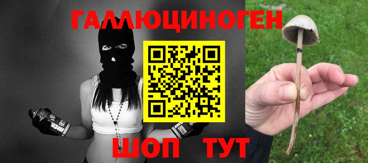 Горячий Ключ  где купить   Вход с VPN  Псилоцибиновые грибы прущие грибы 