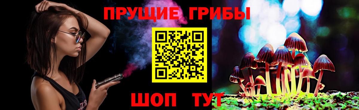 Псилоцибиновые грибы Cubensis Горячий Ключ