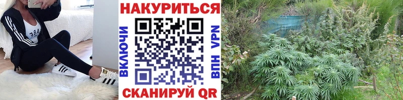 Каннабис индика  мориарти формула  Горячий Ключ 